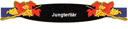Jungterti�r